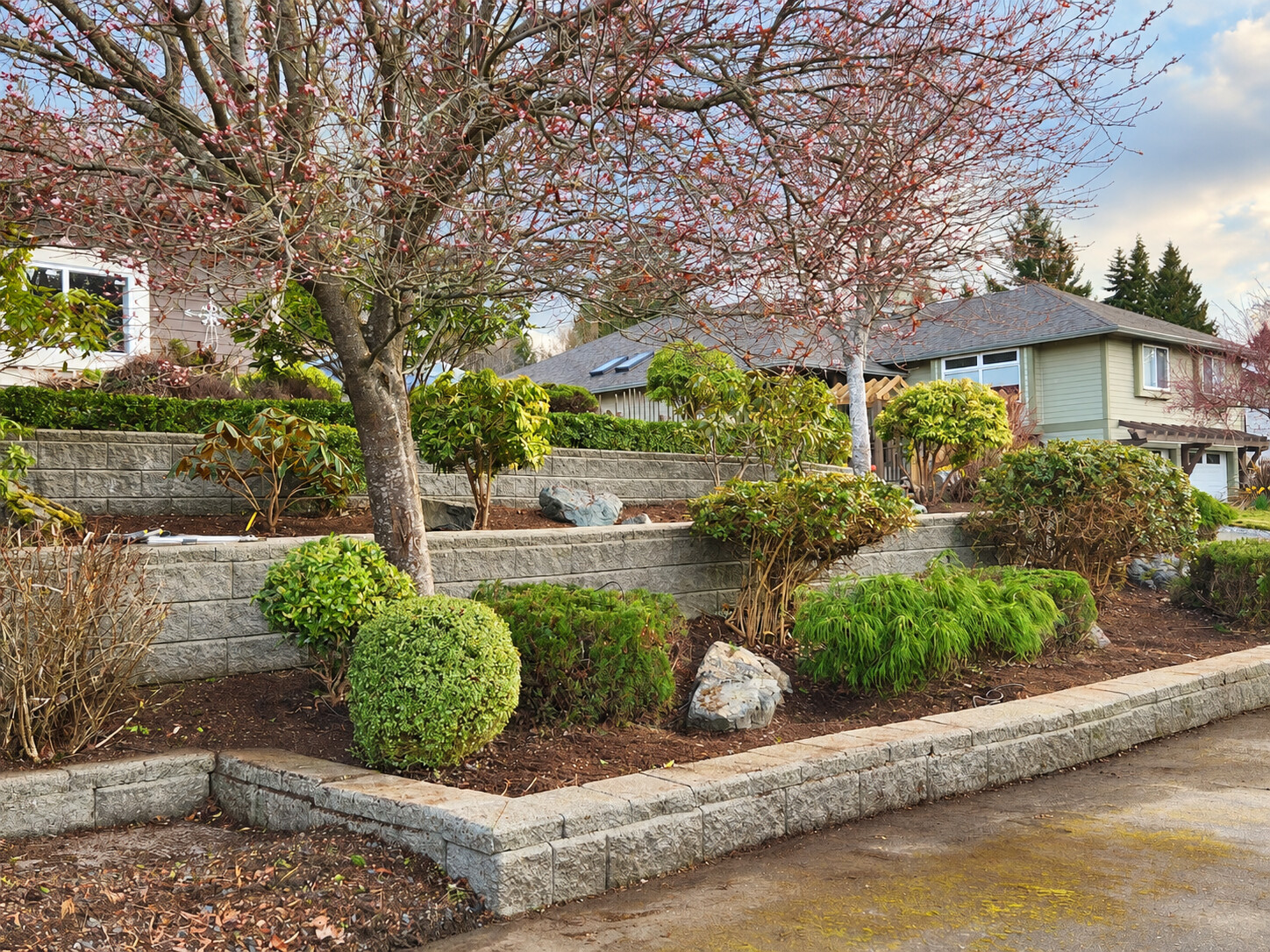 Terraced garden with block walls and shrubs