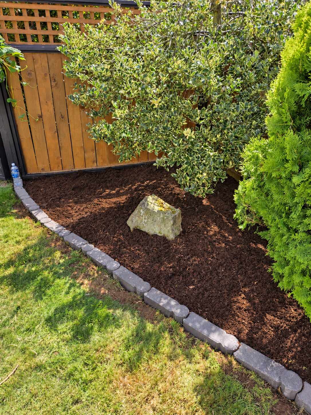 Curved garden edging with mulch, shrubs and a decorative rock